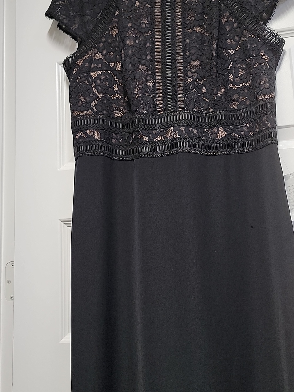 TADASHI SHOJI NWT LACE & CREPE A-LINE GOWN BLACK/NUDE SZ 16 $358 Retail - Picture 8 of 16